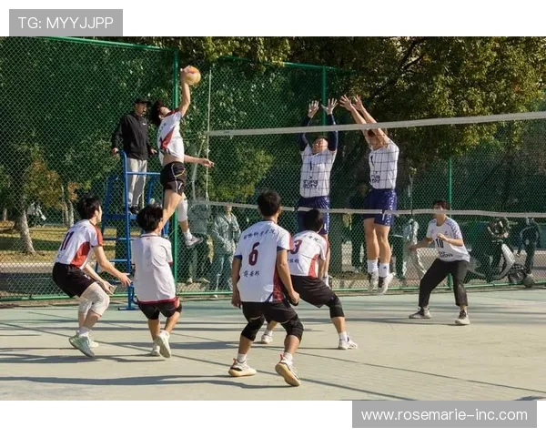 探索K8体育娱乐平台的丰富体育赛事资源与专业分析助你轻松赢得比赛胜利