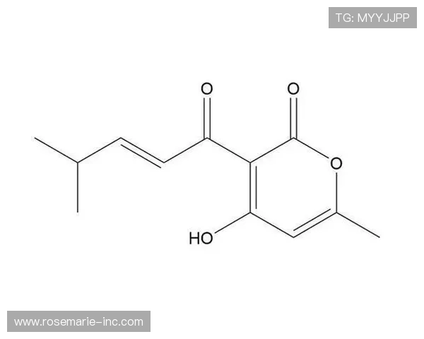 凯发k8官网首页登录流程详细教程及常见问题解决方案推荐